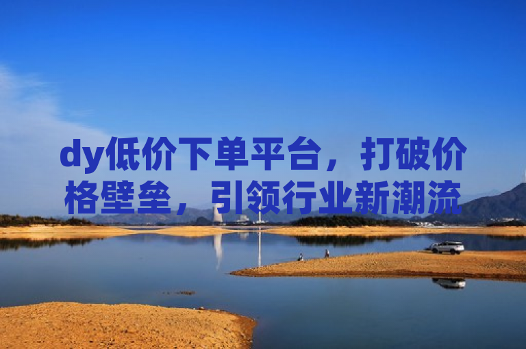 dy低价下单平台，打破价格壁垒，引领行业新潮流，突出了dy低价下单平台的核心优势——提供低价下单服务，并且暗示该平台正在引领行业新潮流。标题简洁明了，既包含了关键词，又具有一定的吸引力和新闻价值。