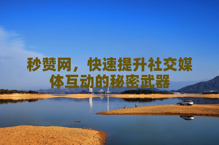 秒赞网，快速提升社交媒体互动的秘密武器