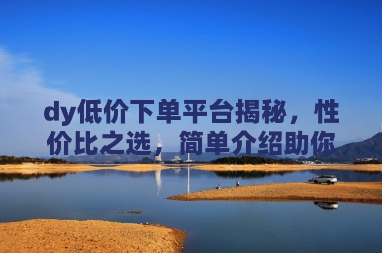 dy低价下单平台揭秘，性价比之选，简单介绍助你轻松省钱，简洁明了地介绍了dy低价下单平台的核心优势——性价比高，同时承诺提供简单易懂的介绍，帮助用户快速了解如何通过该平台节省开支。既吸引了寻求经济实惠的消费者，也传达了内容将提供实用信息的价值。