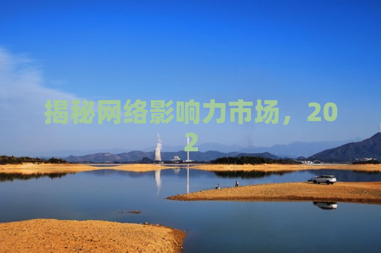 揭秘网络影响力市场，2025年购买10000个粉丝的可行性分析