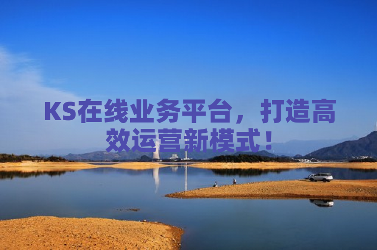 KS在线业务平台，打造高效运营新模式！