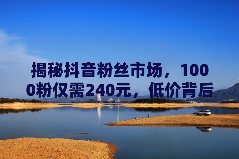 揭秘抖音粉丝市场，1000粉仅需240元，低价背后真相何在？，既涵盖了您提供的内容中关于QQ空间访客网站、抖音买1000粉240元以及dy低价下单平台等关键信息，又通过提问的方式引发了读者对这一现象背后真相的好奇心。