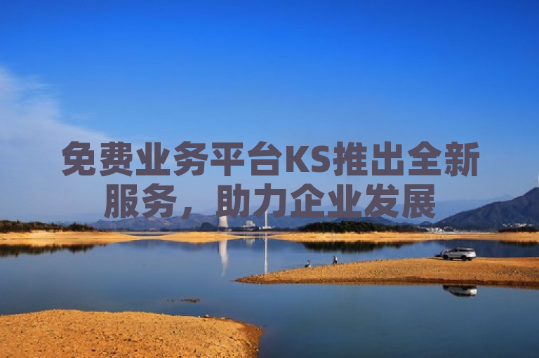 免费业务平台KS推出全新服务，助力企业发展