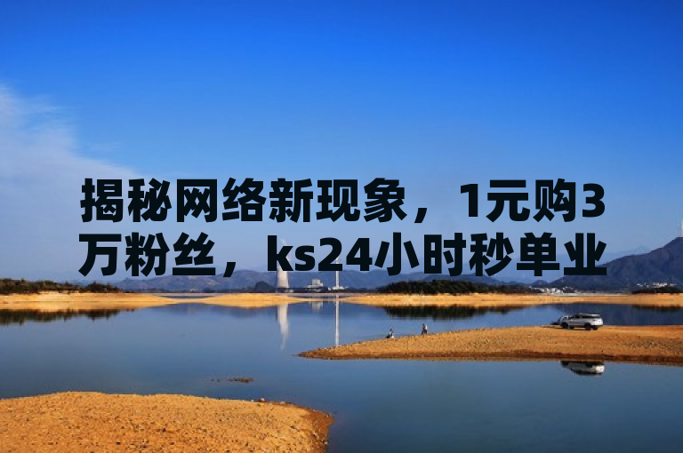 揭秘网络新现象，1元购3万粉丝，ks24小时秒单业务平台引发关注
