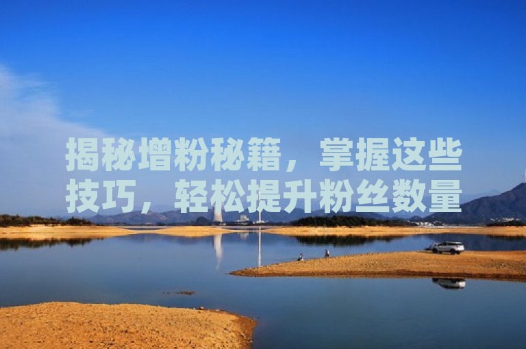 揭秘增粉秘籍，掌握这些技巧，轻松提升粉丝数量！