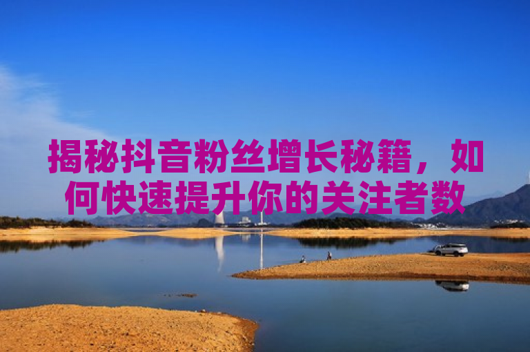 揭秘抖音粉丝增长秘籍,如何快速提升你的关注者数量