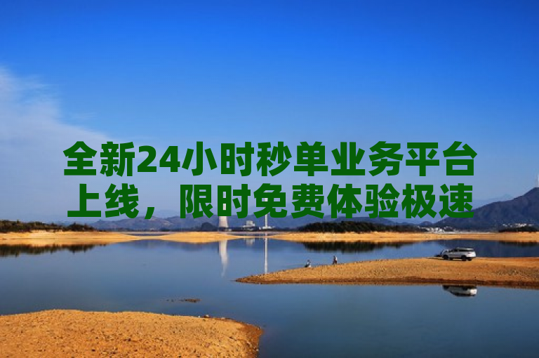 全新24小时秒单业务平台上线,限时免费体验极速下单服务!