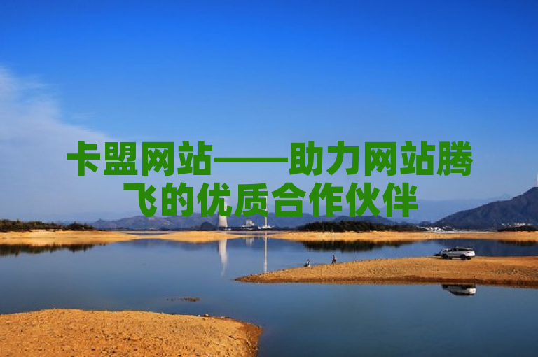 卡盟网站——助力网站腾飞的优质合作伙伴