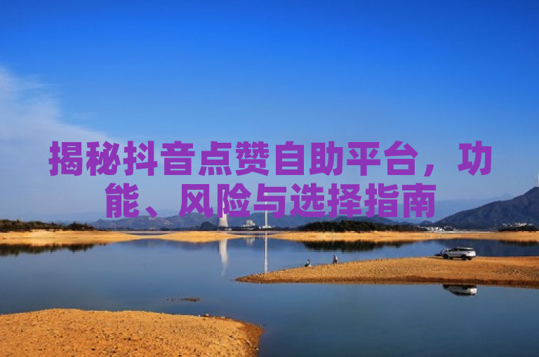 揭秘抖音点赞自助平台，功能、风险与选择指南