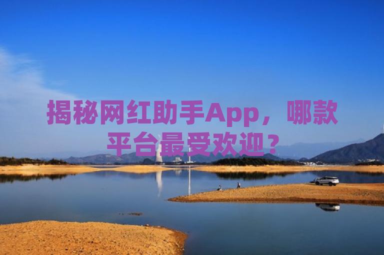 揭秘网红助手App，哪款平台最受欢迎？