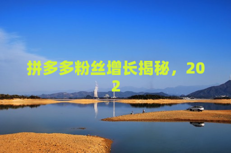 拼多多粉丝增长揭秘，2025必学策略！，揭示了文章将深入探讨拼多多如何吸引并增加用户粉丝，特别是在2025年这个时间点上，有哪些独特而有效的策略值得学习和借鉴。通过独家揭秘和2025必学，既激发了读者的好奇心，又强调了内容的时效性和实用性。