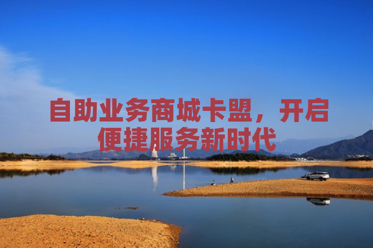 自助业务商城卡盟，开启便捷服务新时代