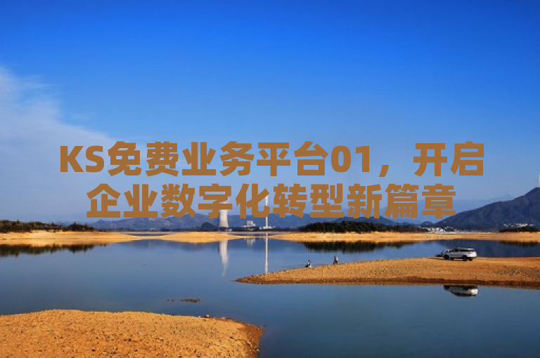 KS免费业务平台01，开启企业数字化转型新篇章