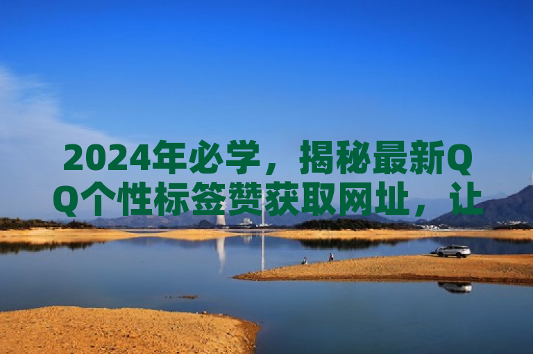 2024年必学，揭秘最新QQ个性标签赞获取网址，让你的社交形象更加出众！