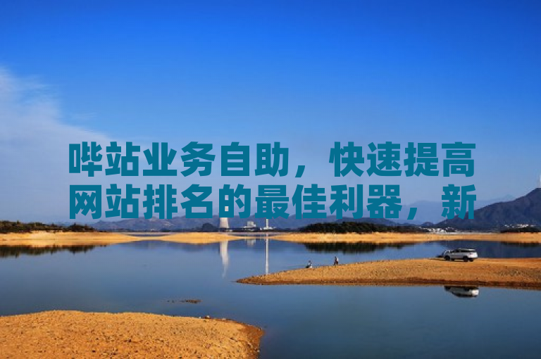 哔站业务自助，快速提高网站排名的最佳利器，新人必备！