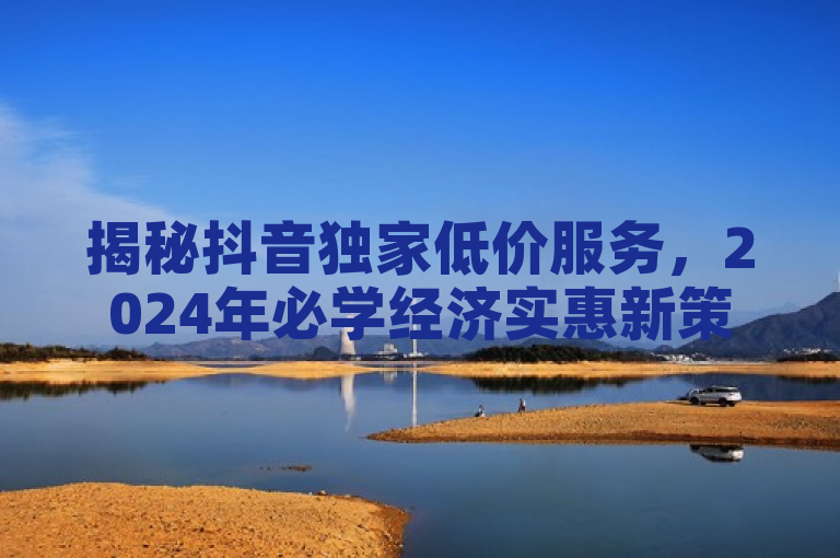揭秘抖音独家低价服务，2024年必学经济实惠新策略！