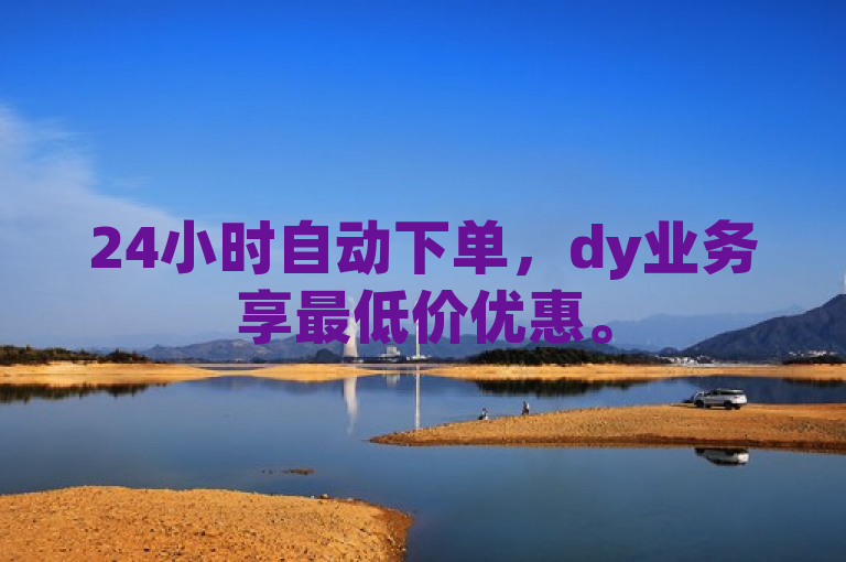24小时自动下单，dy业务享最低价优惠。