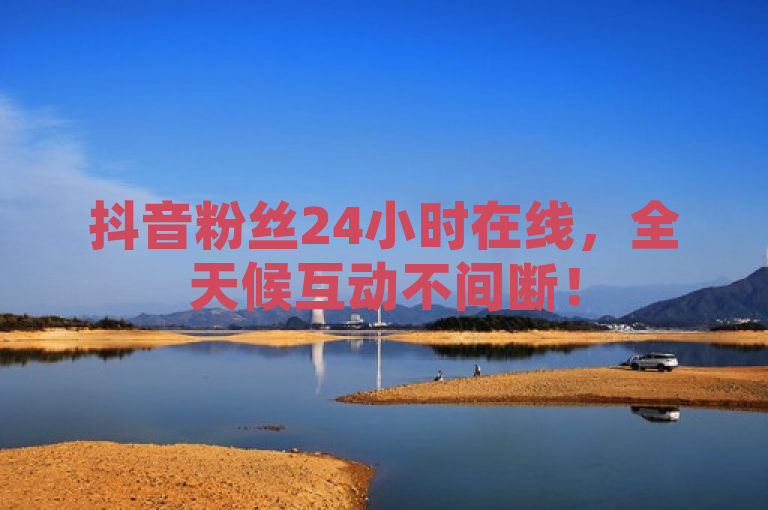 抖音粉丝24小时在线，全天候互动不间断！