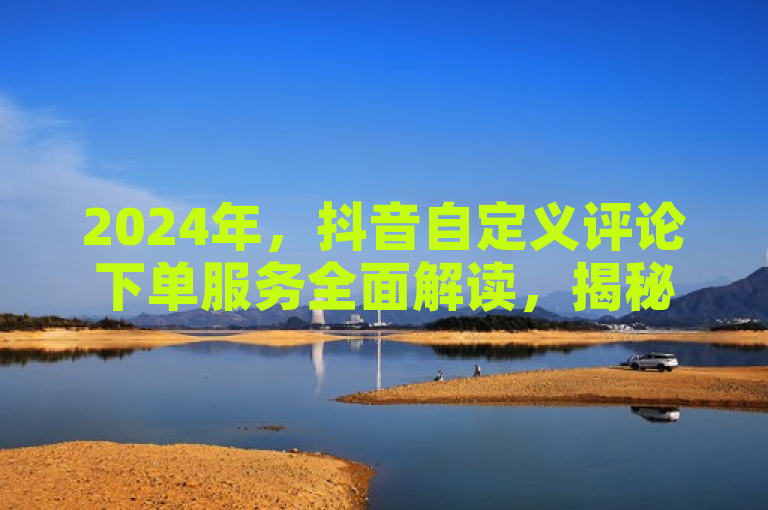 2024年，抖音自定义评论下单服务全面解读，揭秘其运作机制与影响。