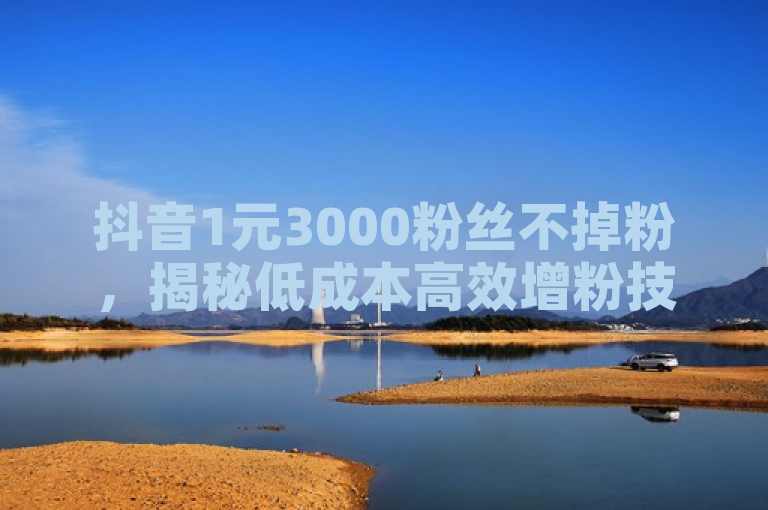 抖音1元3000粉丝不掉粉，揭秘低成本高效增粉技巧。