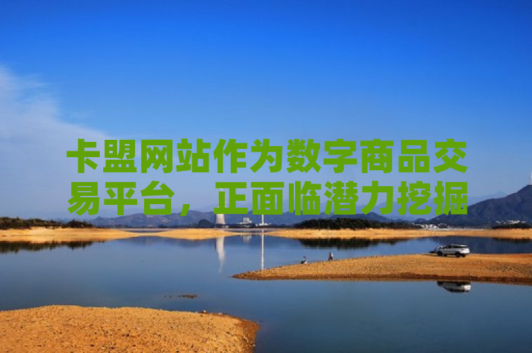 卡盟网站作为数字商品交易平台，正面临潜力挖掘与发展趋势分析的挑战。