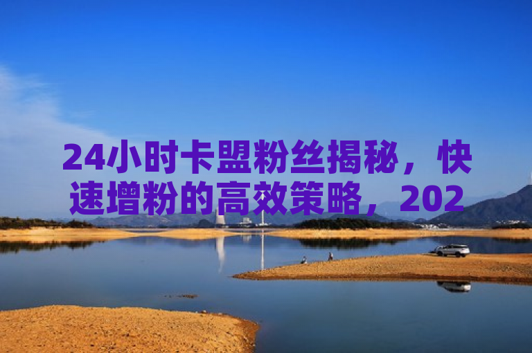 24小时卡盟粉丝揭秘，快速增粉的高效策略，2025年必备技能！
