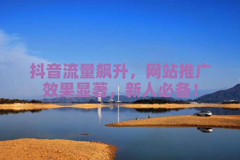 抖音流量飙升，网站推广效果显著，新人必备！