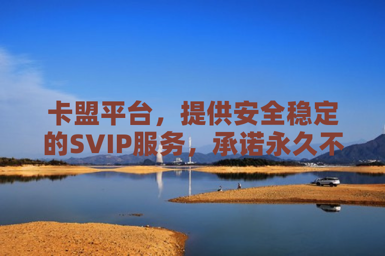 卡盟平台，提供安全稳定的SVIP服务，承诺永久不封号。