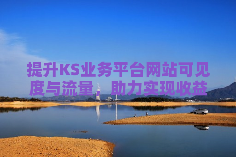 提升KS业务平台网站可见度与流量，助力实现收益增长。