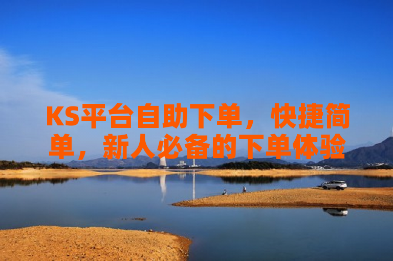 KS平台自助下单，快捷简单，新人必备的下单体验。