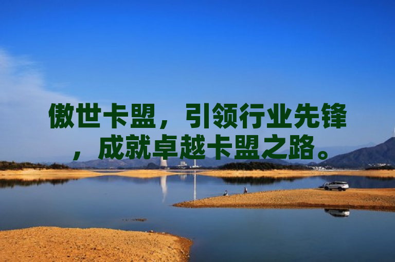 傲世卡盟，引领行业先锋，成就卓越卡盟之路。