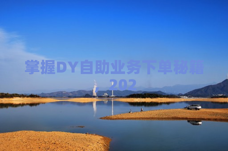 掌握DY自助业务下单秘籍，2025年必学技能！