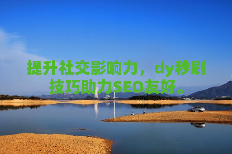 提升社交影响力，dy秒刷技巧助力SEO友好。