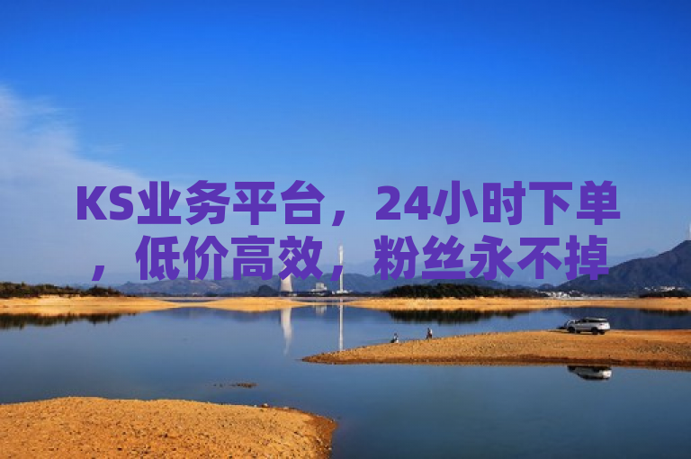 KS业务平台，24小时下单，低价高效，粉丝永不掉。
