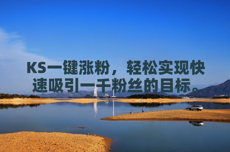 KS一键涨粉，轻松实现快速吸引一千粉丝的目标。