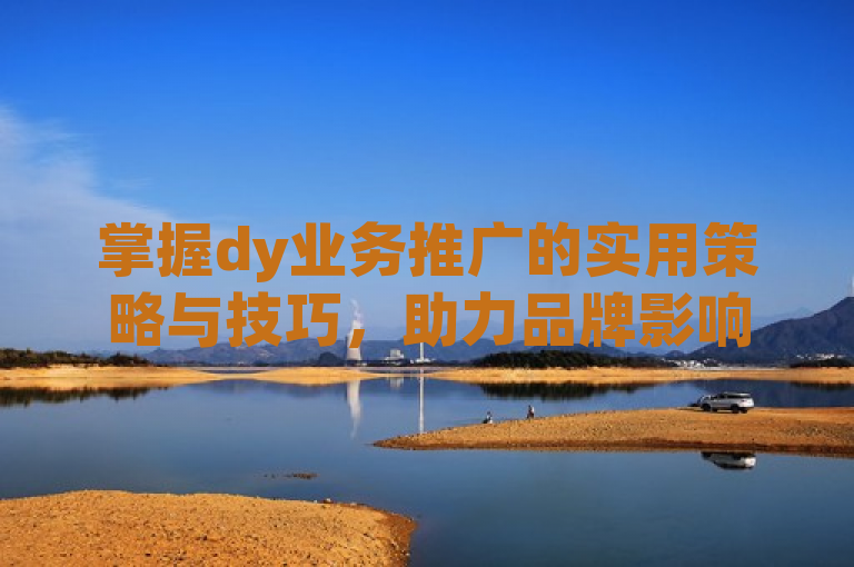 掌握dy业务推广的实用策略与技巧，助力品牌影响力飞跃。