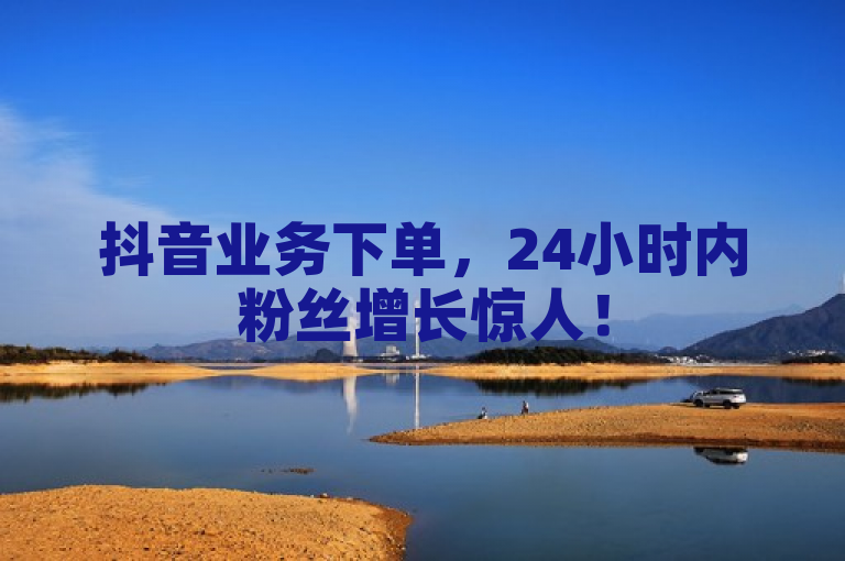 抖音业务下单，24小时内粉丝增长惊人！