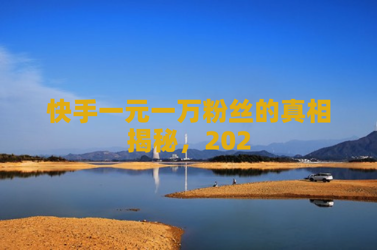 快手一元一万粉丝的真相揭秘，2025必学！
