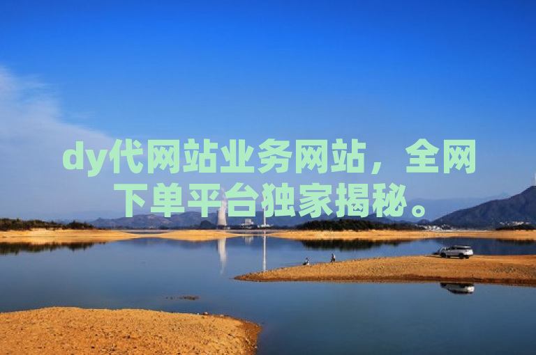 dy代网站业务网站，全网下单平台独家揭秘。