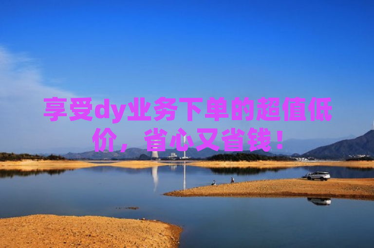 享受dy业务下单的超值低价，省心又省钱！