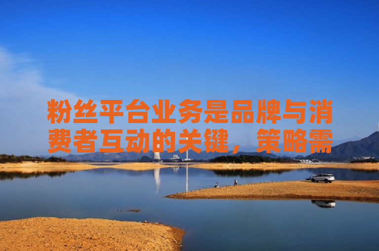 粉丝平台业务是品牌与消费者互动的关键，策略需精准定位目标群体。