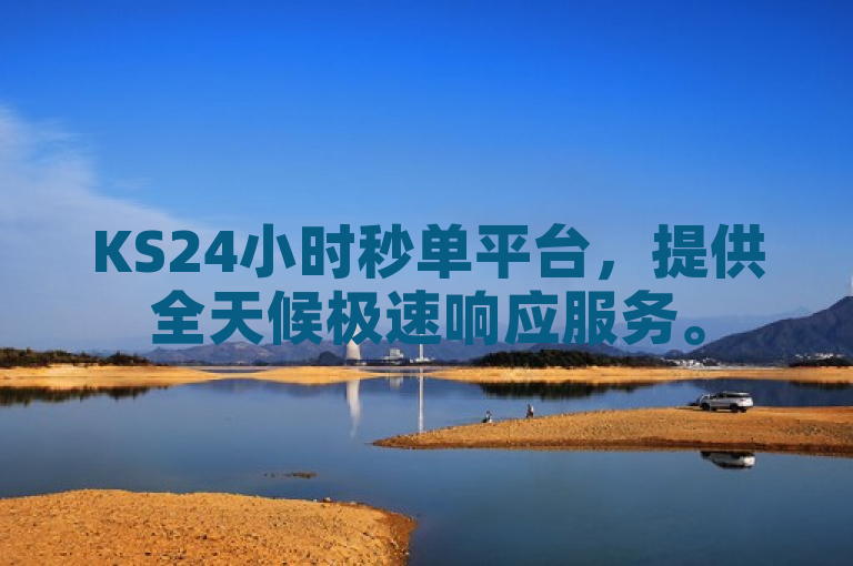 KS24小时秒单平台，提供全天候极速响应服务。