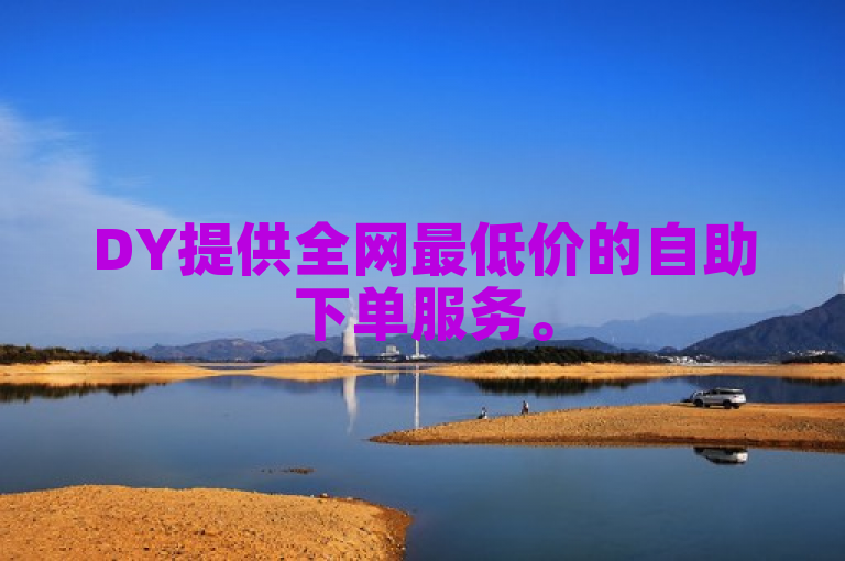 DY提供全网最低价的自助下单服务。