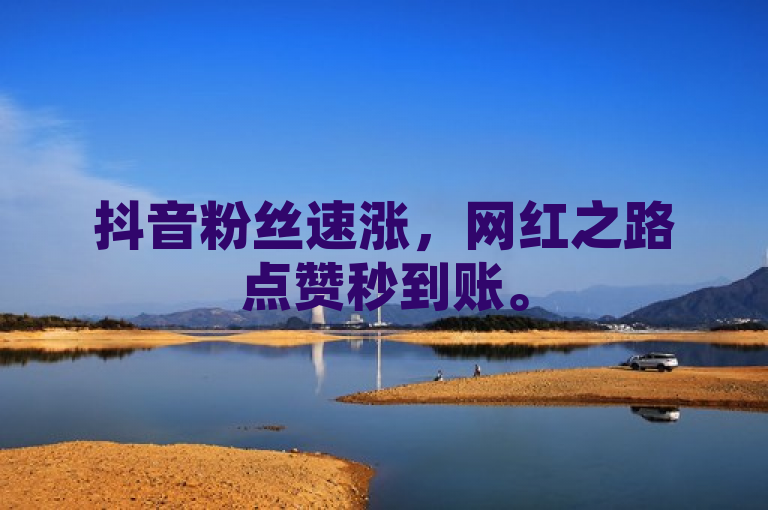 抖音粉丝速涨，网红之路点赞秒到账。