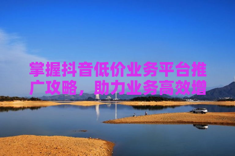 掌握抖音低价业务平台推广攻略，助力业务高效增长。