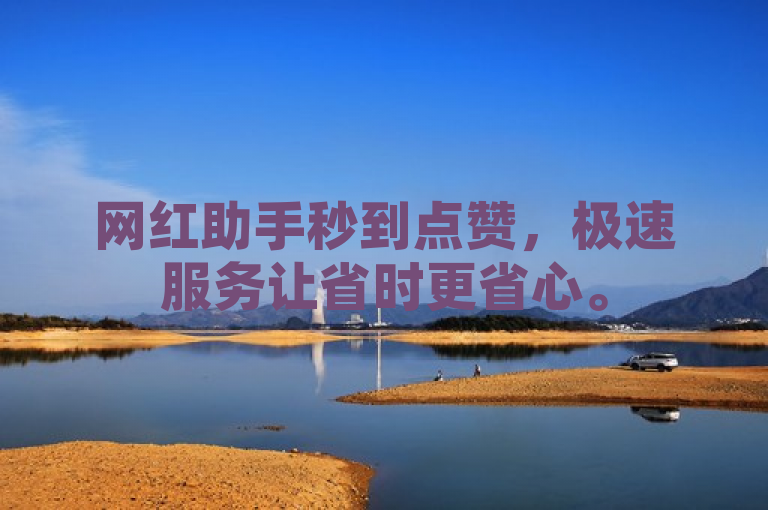 网红助手秒到点赞，极速服务让省时更省心。