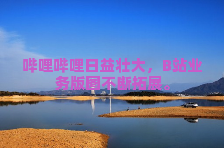 哔哩哔哩日益壮大，B站业务版图不断拓展。