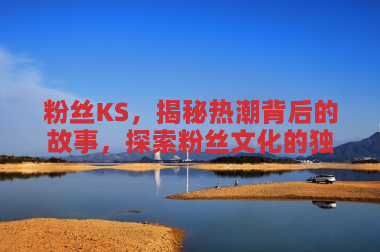 粉丝KS，揭秘热潮背后的故事，探索粉丝文化的独特魅力。