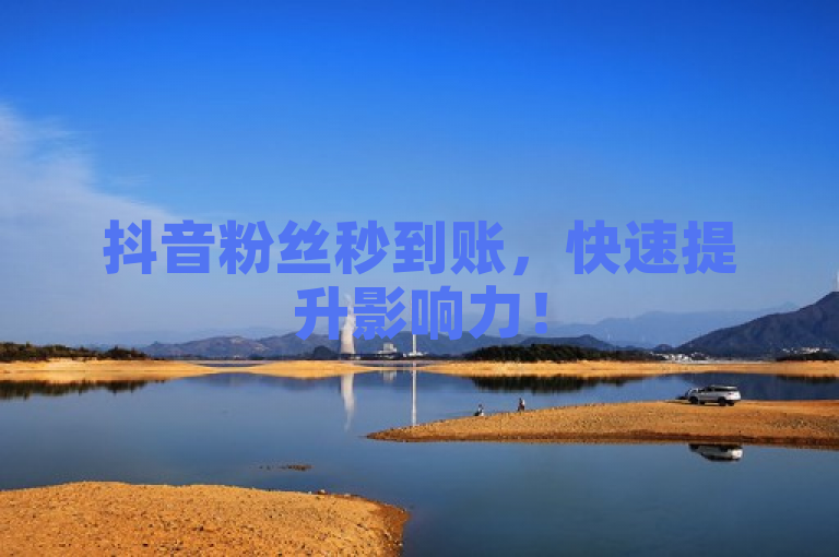 抖音粉丝秒到账，快速提升影响力！