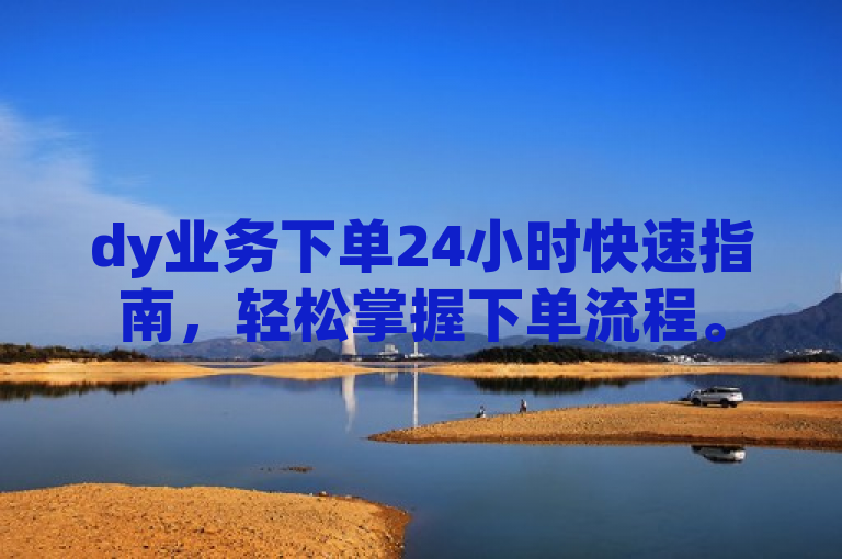 dy业务下单24小时快速指南，轻松掌握下单流程。
